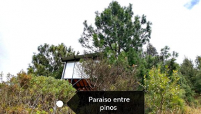 Casa Entre Pinos
